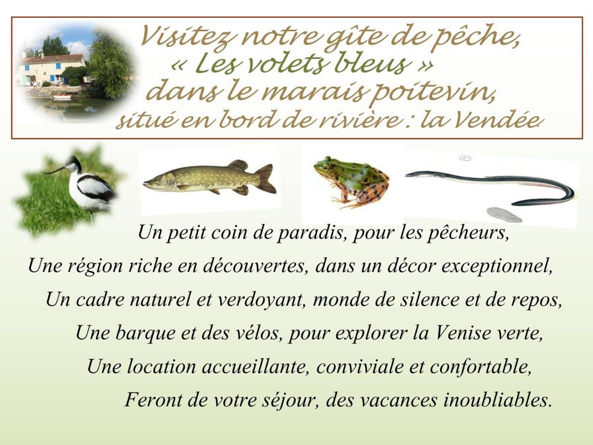Marais Poitevin Bord Riviere Peche ,Barque, Velos, Wifi, Linge, Cheminee, Cuisine, Terrain De Boules La Taillee Eksteriør billede