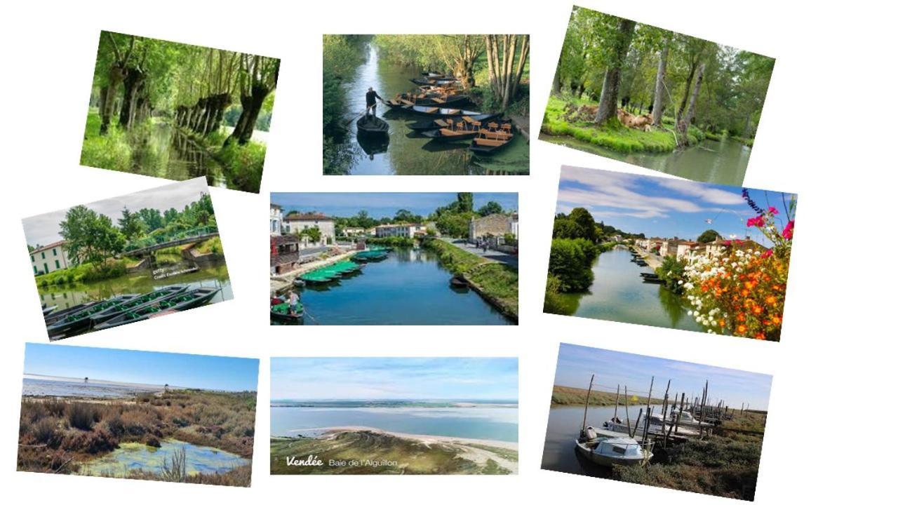 Marais Poitevin Bord Riviere Peche ,Barque, Velos, Wifi, Linge, Cheminee, Cuisine, Terrain De Boules La Taillee Eksteriør billede
